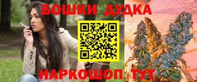 твердый Новозыбков