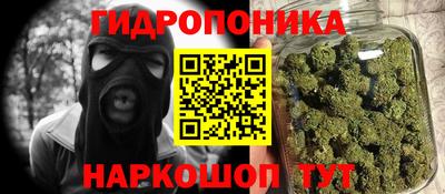 твердый Новозыбков