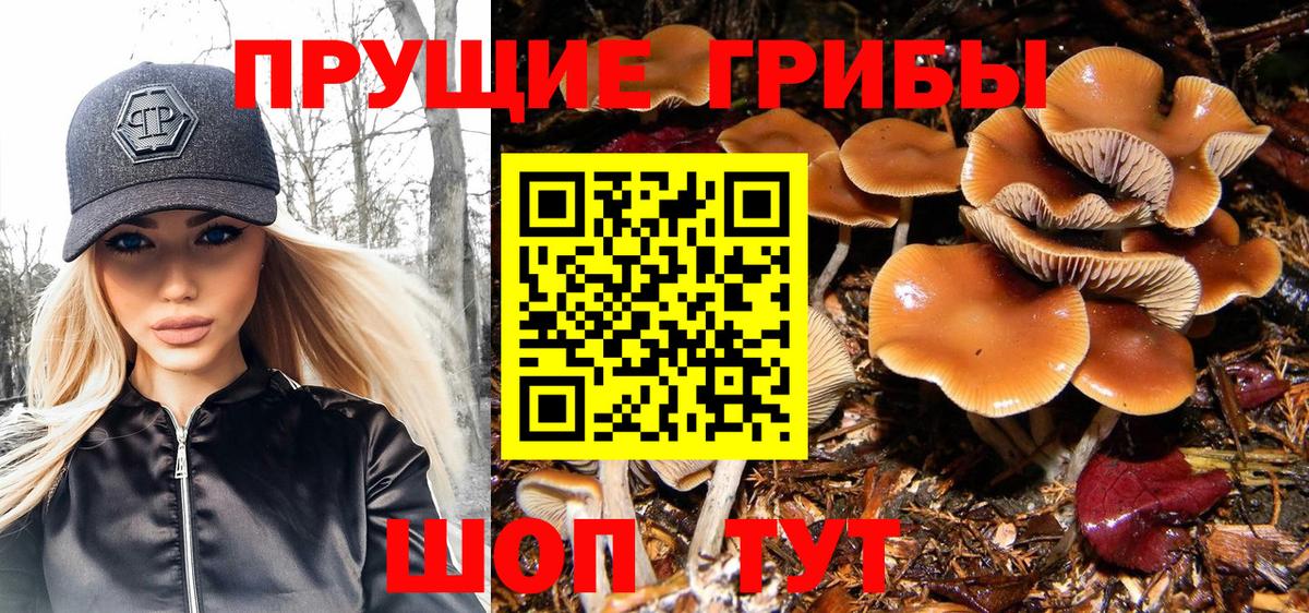 Северск  Галлюциногенные грибы MAGIC MUSHROOMS  Вход с VPN 