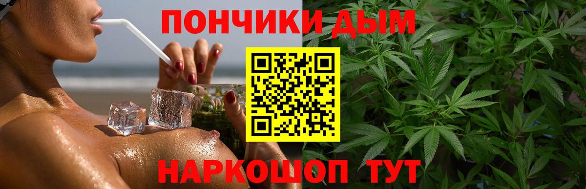 Каннабис сатива Северск